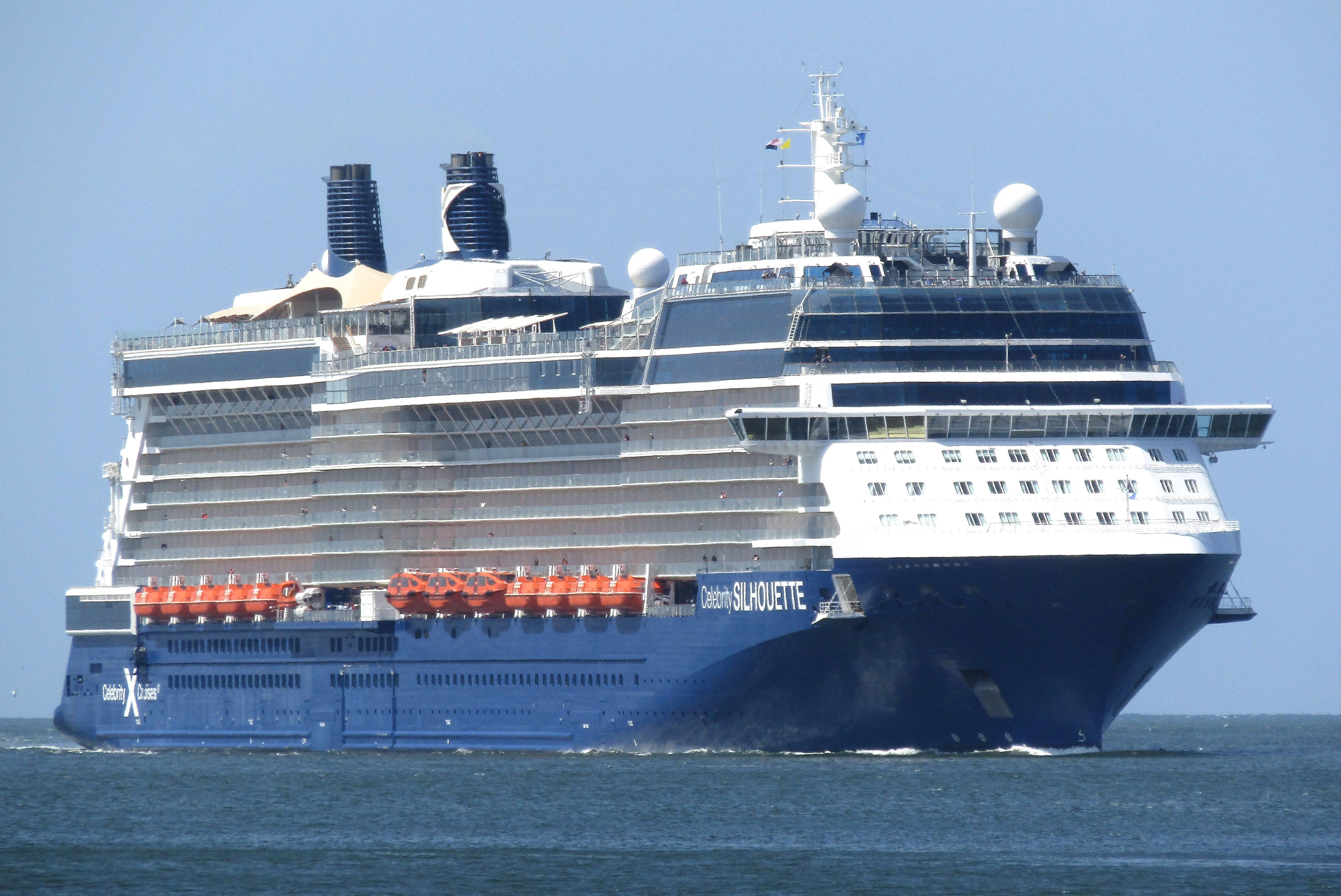 CELEBRITY SILHOUETTE 